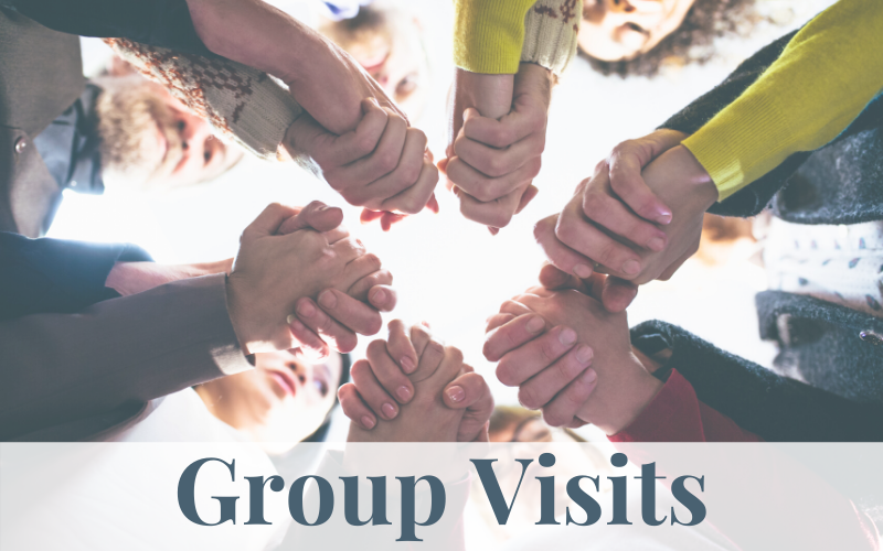 group visits