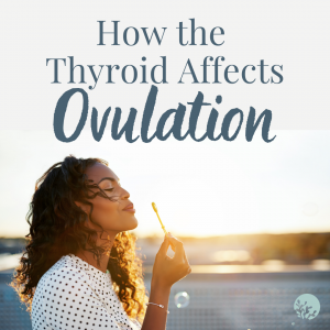 thyroid affects ovulation